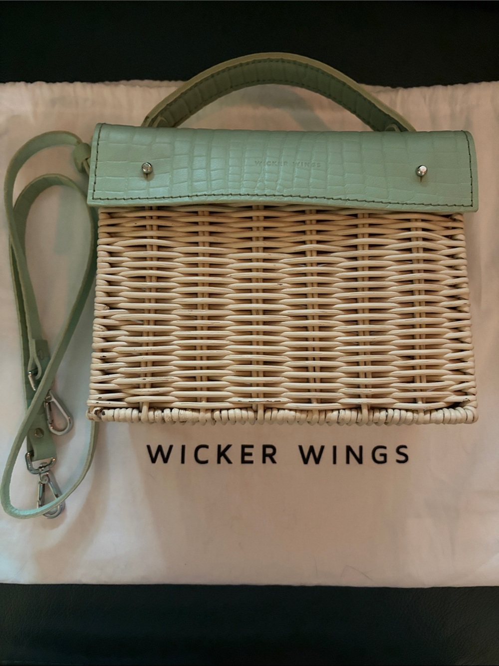 Wicker Wings Mint Green Leather-Trim Wicker Crossbody Bag